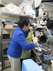 東北大学病院の先進医療視察